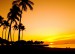 Palmy při západu slunce.jpg